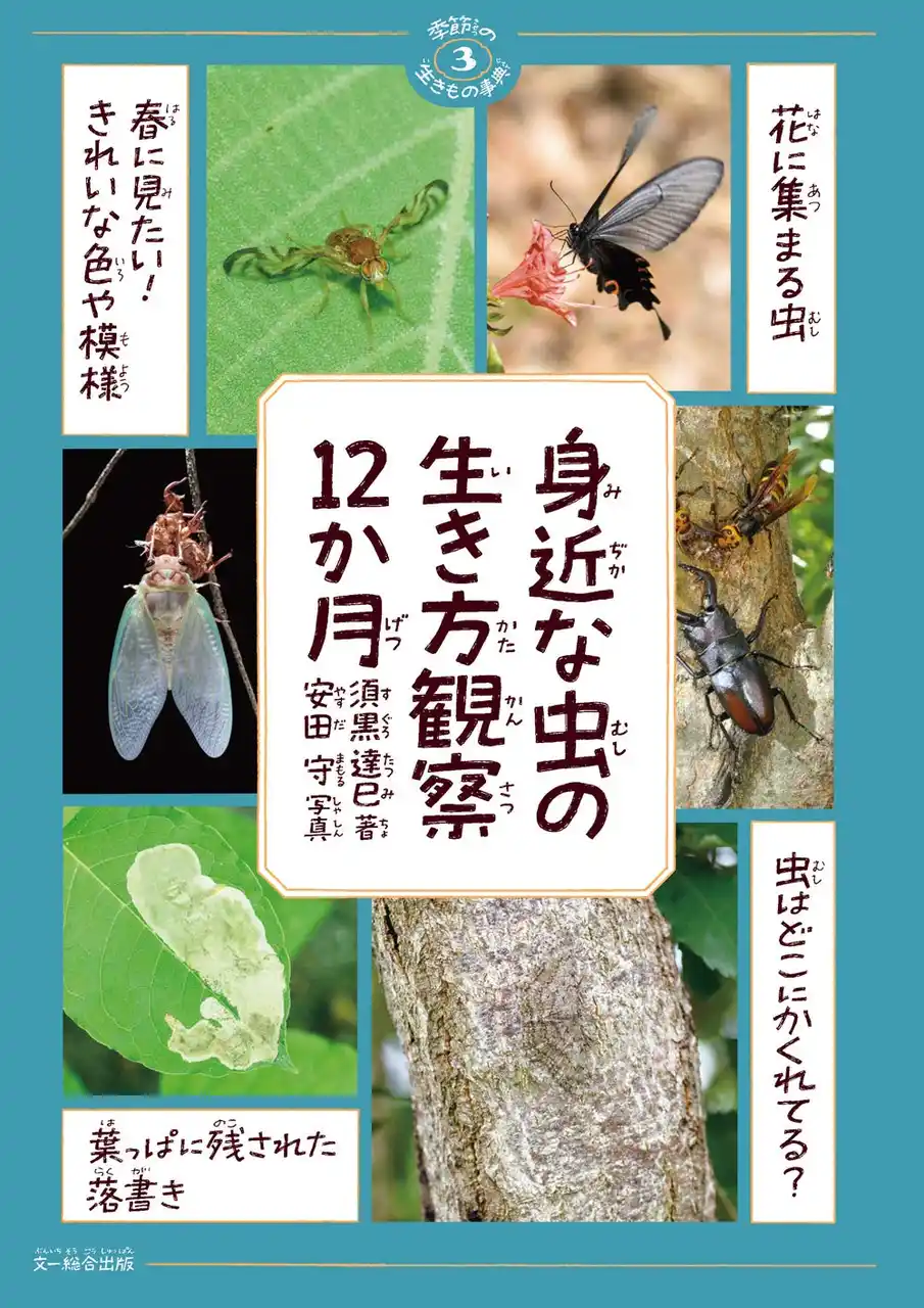 【株式会社 文一総合出版】 夏休みの自由研究にも最適！身近な場所でマニアな虫を見つけてみよう！「身近な虫の生き方観察12か月」発売中