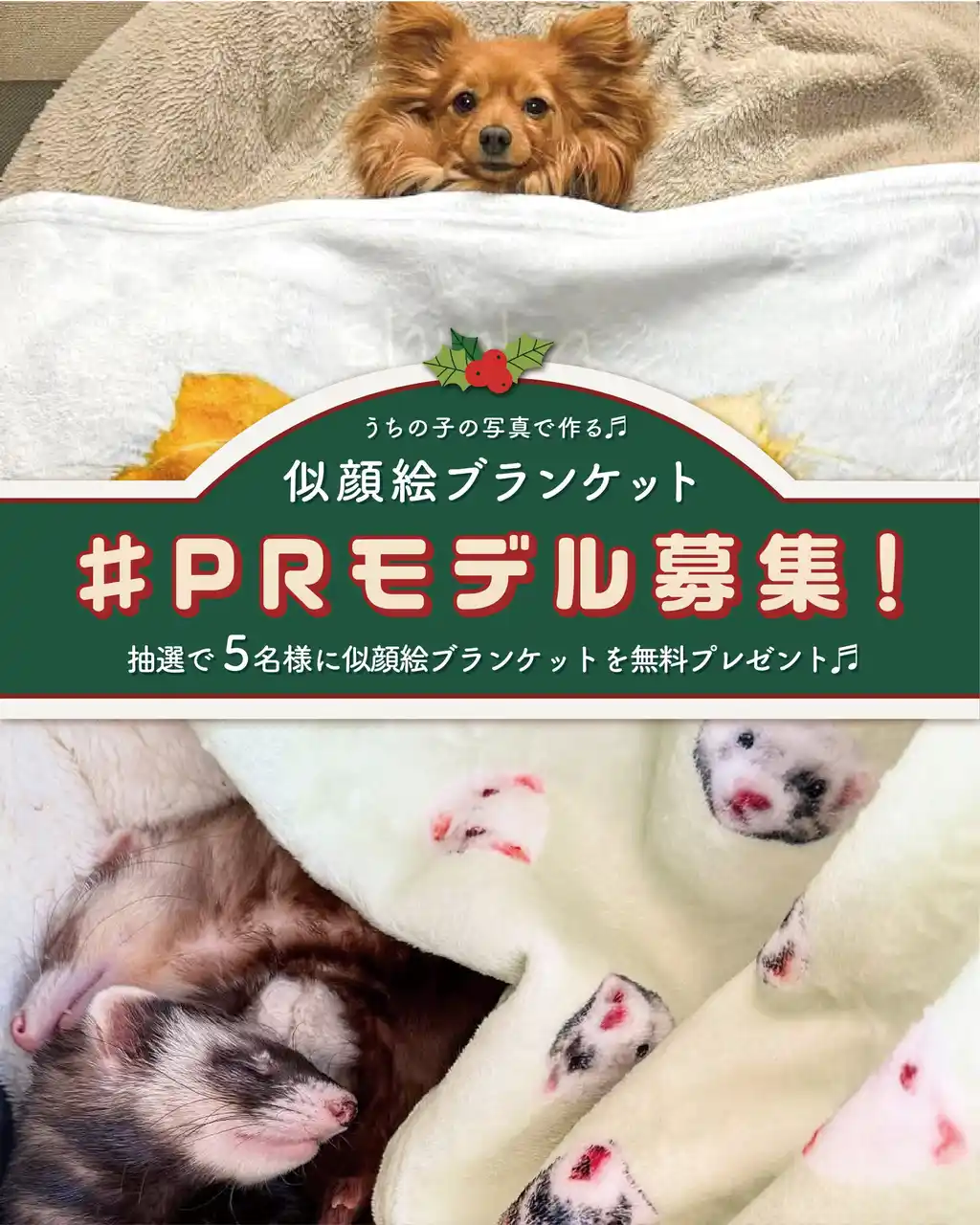 【5名にプレゼント】ペットとの心温まる”今”を形に。うちの子グッズQoo『似顔絵ブランケット』のPRモニター募集開始!うちの子のクリスマスプレゼントにぴったり。
