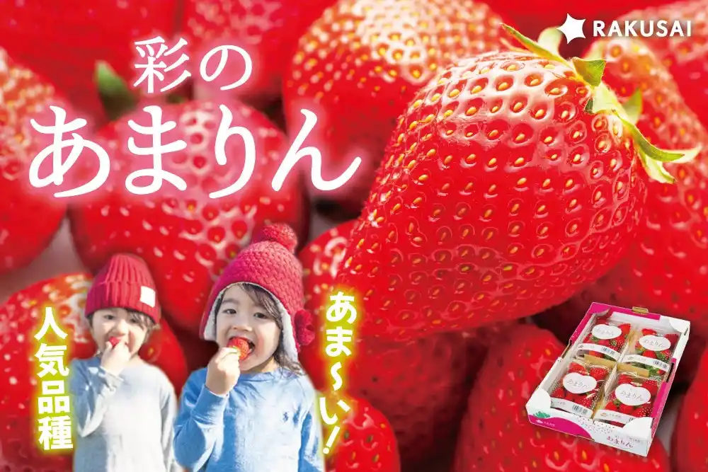 【楽彩株式会社】 14時間で250セット即完売！『矢島農園さんの彩のあまりん』（埼玉県産）