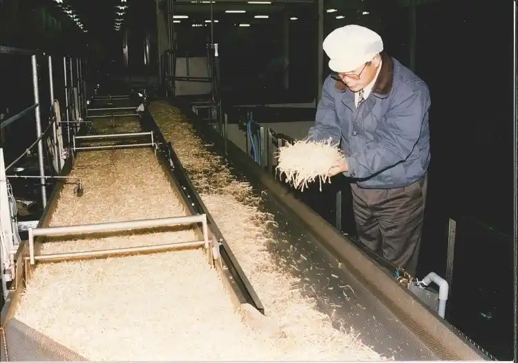 【株式会社サラダコスモ】 12月8日は有機農業の日！　日本初の有機栽培もやし、スプラウトを開発したサラダコスモが50年以上かけて追い求める究極のオーガニック