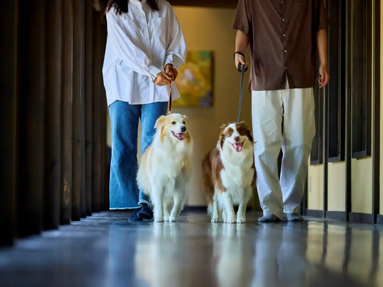 【愛犬と泊まれる古民家リトリート　赤城山 - 懐 -】公式Instagramフォロワー1万人突破記念。2月末までの期間限定で「愛犬2頭分の宿泊費＆お食事」が無料になる特別プランを販売開始