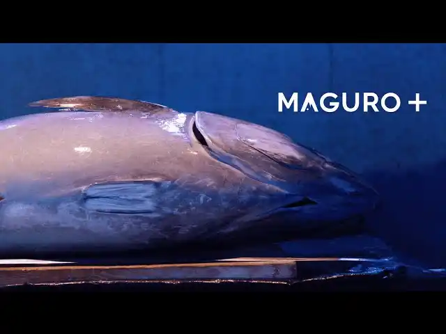 次世代のマグロ解体ショー「MAGURO＋」始動　高級出張鮨ブランドSUSHI＋が仕掛ける、新たな“記憶に残る食体験”