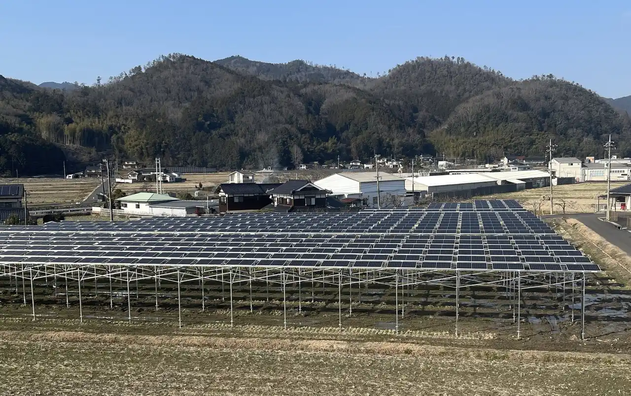 【株式会社　山田養蜂場】 レンゲ咲く田んぼで営農型太陽光発電を開始