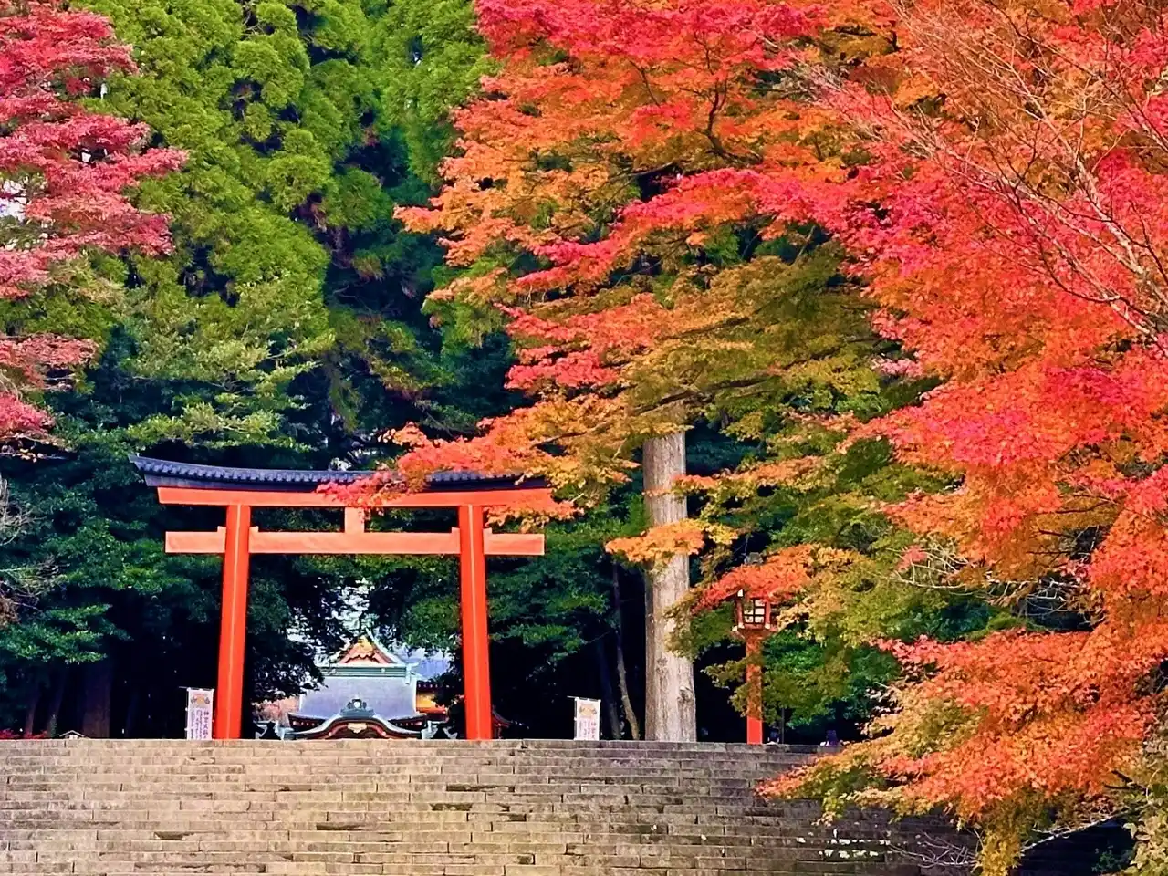 【霧島市】 秋の霧島、紅葉スポットを紹介します！