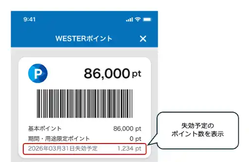 WESTERポイント.png