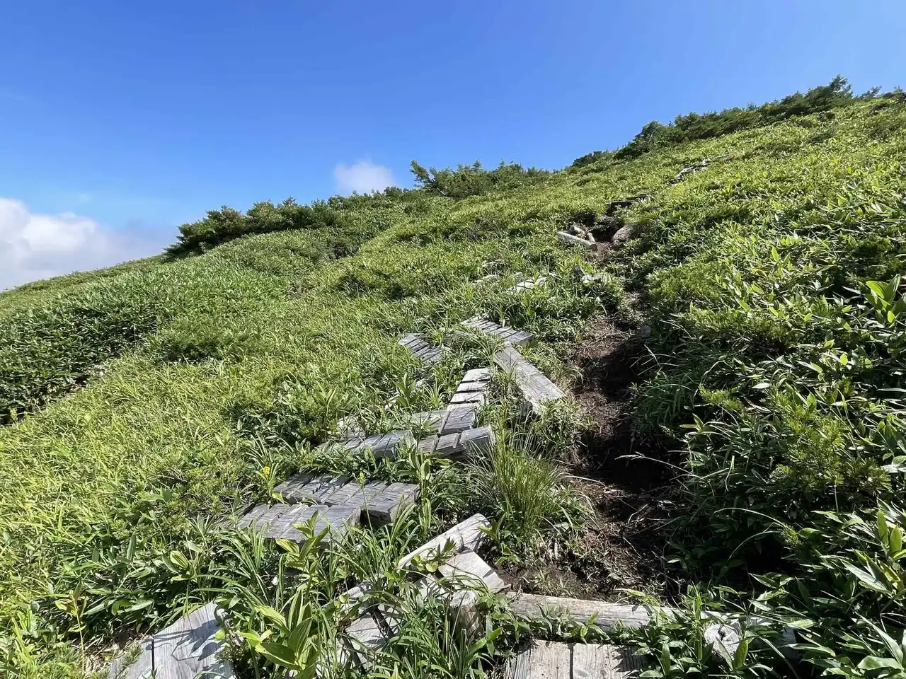 【岐阜県飛騨市】北アルプスの名峰北ノ俣岳、登山道が“危険信号”！安全な登山道を未来に残すために「登山道整備」を行います
