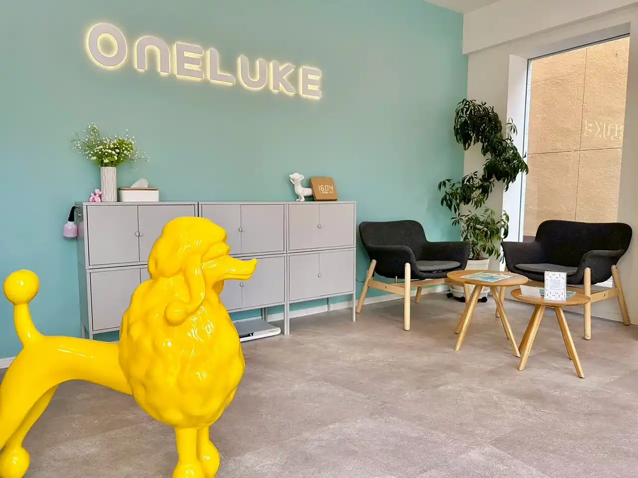 【日本ペットホテル協会株式会社】 豊中市大阪空港前店を12月11日オープン