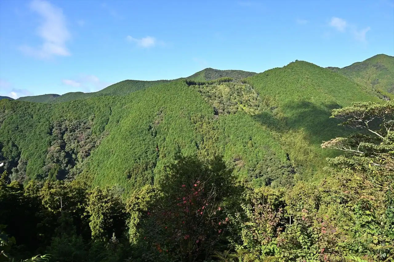 【株式会社山長商店】 紀州材の育成から製材、構造設計、プレカット加工までを見学するメディア向け見学会の参加者を募集します