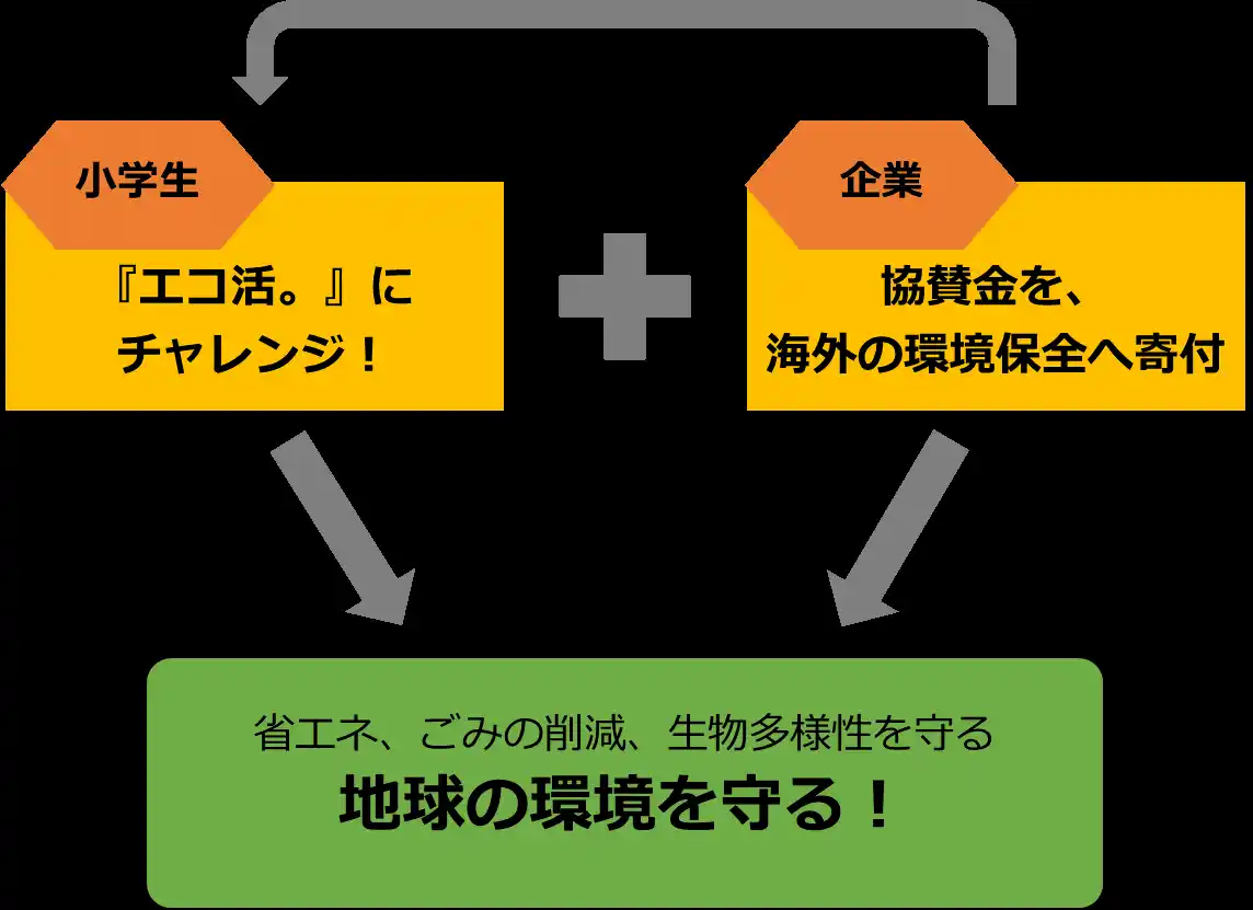 【横浜市】 横浜市の小学生と企業が、地球の環境を守る！２２年続く夏休みの『エコ活。』で環境保全の取り組みを！