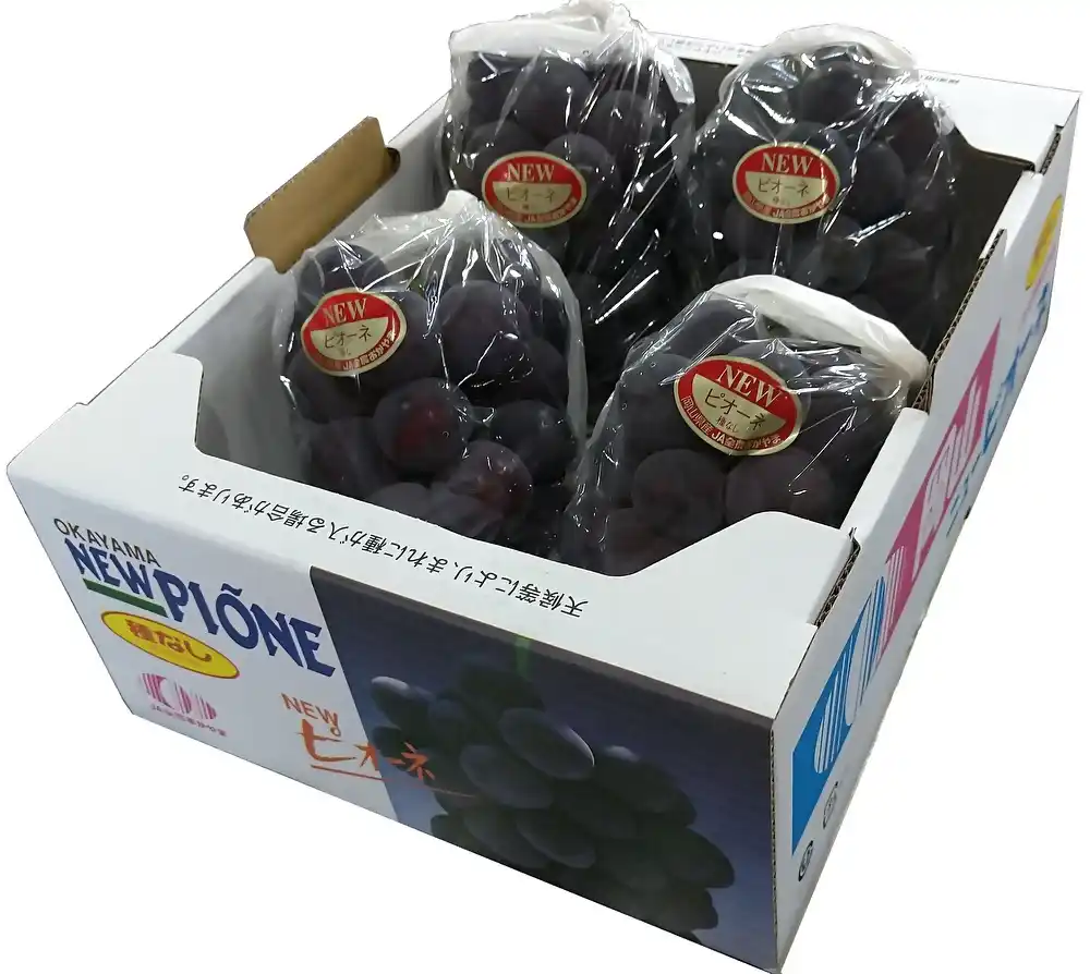 【びほく産ぶどうマーケティングプロジェクトチーム】 「一粒の極上体験」