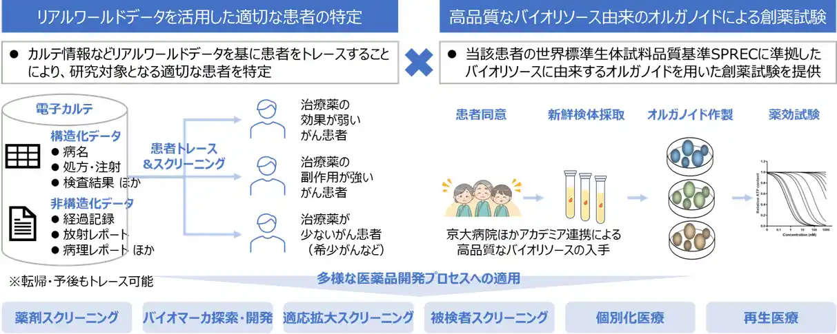 【PRiME-R】 日本初、オルガノイド利活用サービス「OrganoInsight(TM)」を提供開始 ～高品質バイオリソースとリアルワールドデータの融合で、創薬・個別化医療に新たな価値を創出～