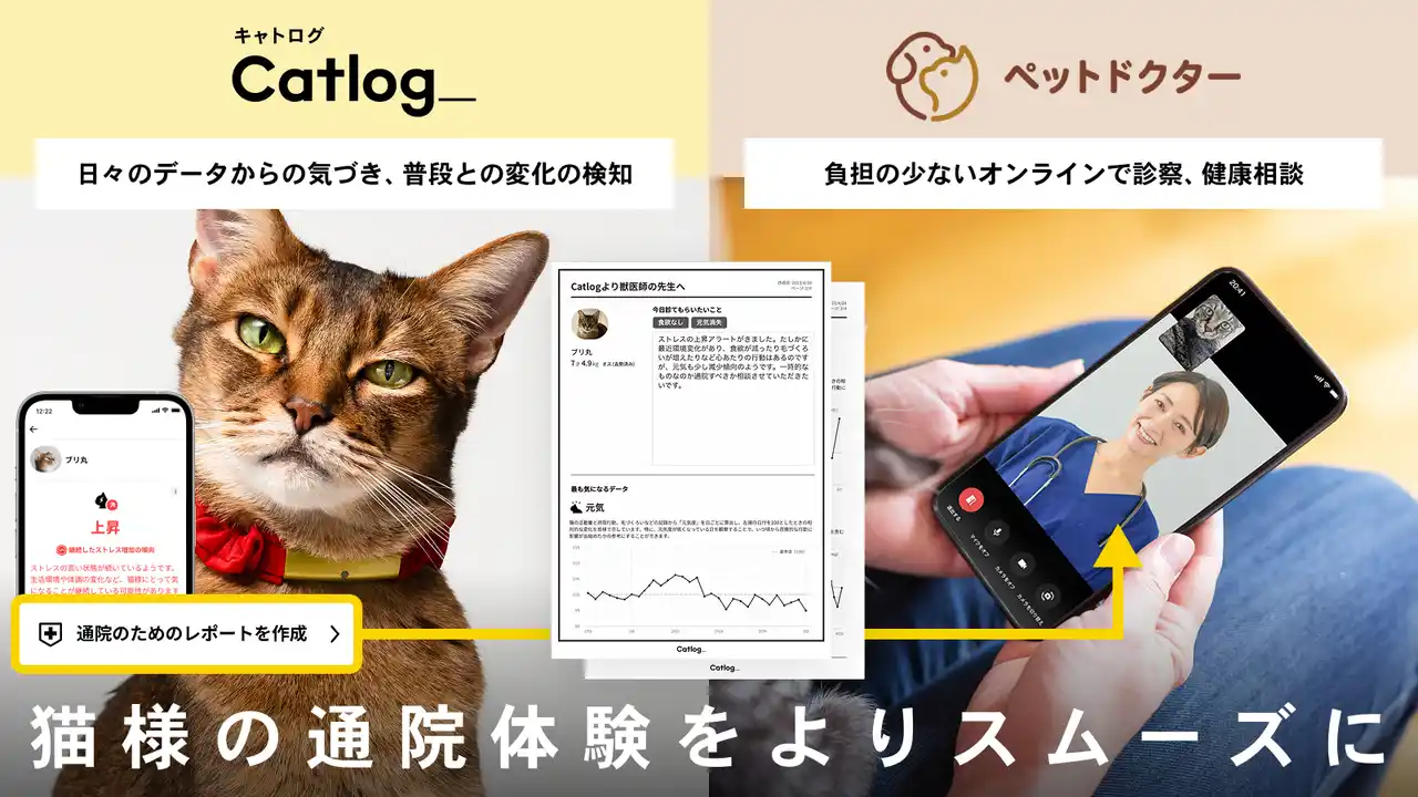 【RABO, Inc.】 Catlog(R)がペットのオンライン診療アプリ「ペットドクター」と連携開始。猫様の健康管理や受診がより安全・適切になる未来を目指す
