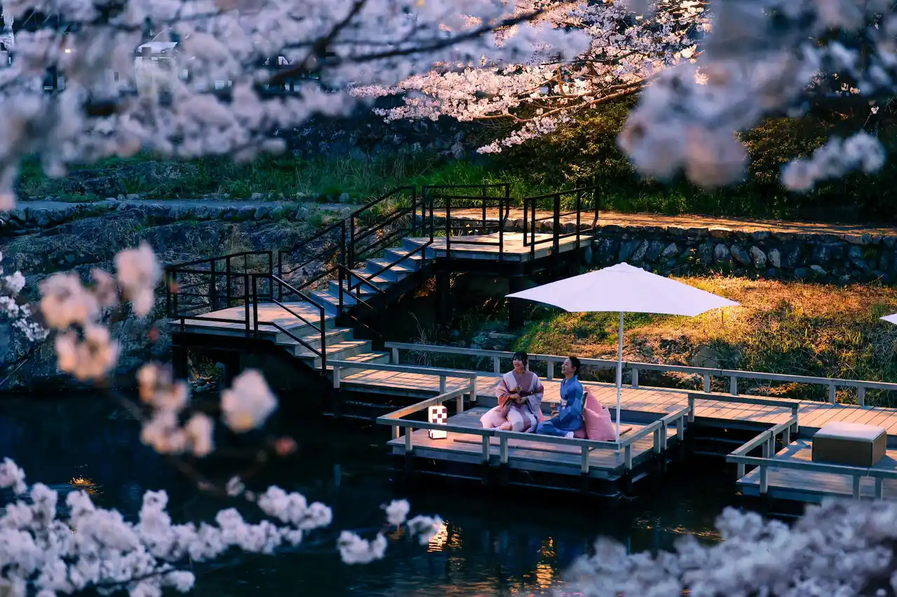 【界 長門】静かな朝の桜を“独り占め”。川床で楽しむ野点と夜桜アペロで春を愛でる「春らんまん滞在」販売開始
