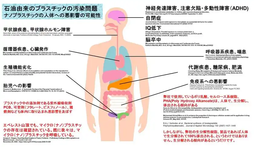 図:ナノプラスチック汚染の健康へのリスク