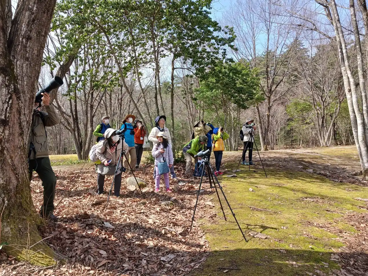 鳥の声に耳を傾け、春を感じる「野鳥観察会（さえずり編）」参加者募集｜国営アルプスあづみの公園【大町・松川地区】