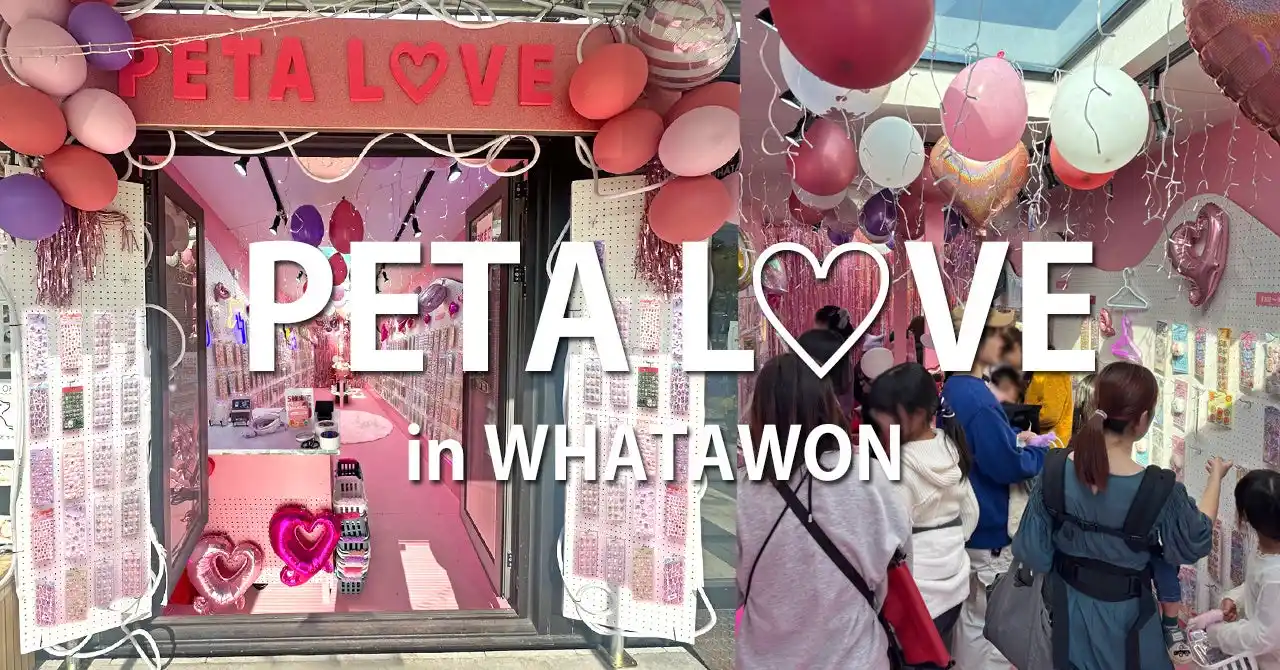 【新店オープン】初回週末は想定超えの来場｜シール専門店《PETA L(ハート)VE》が話題に。次回1/24（土）・25（日）OPEN