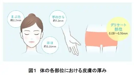 【ロート製薬株式会社】 デリケート部位専用製剤の開発に特化した刺激性評価の構築
