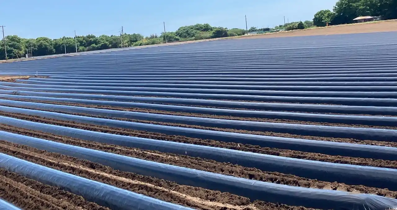 【昭光通商株式会社】 発売半年で1,000本出荷達成！生分解性マルチフィルム、農業現場で着実に浸透