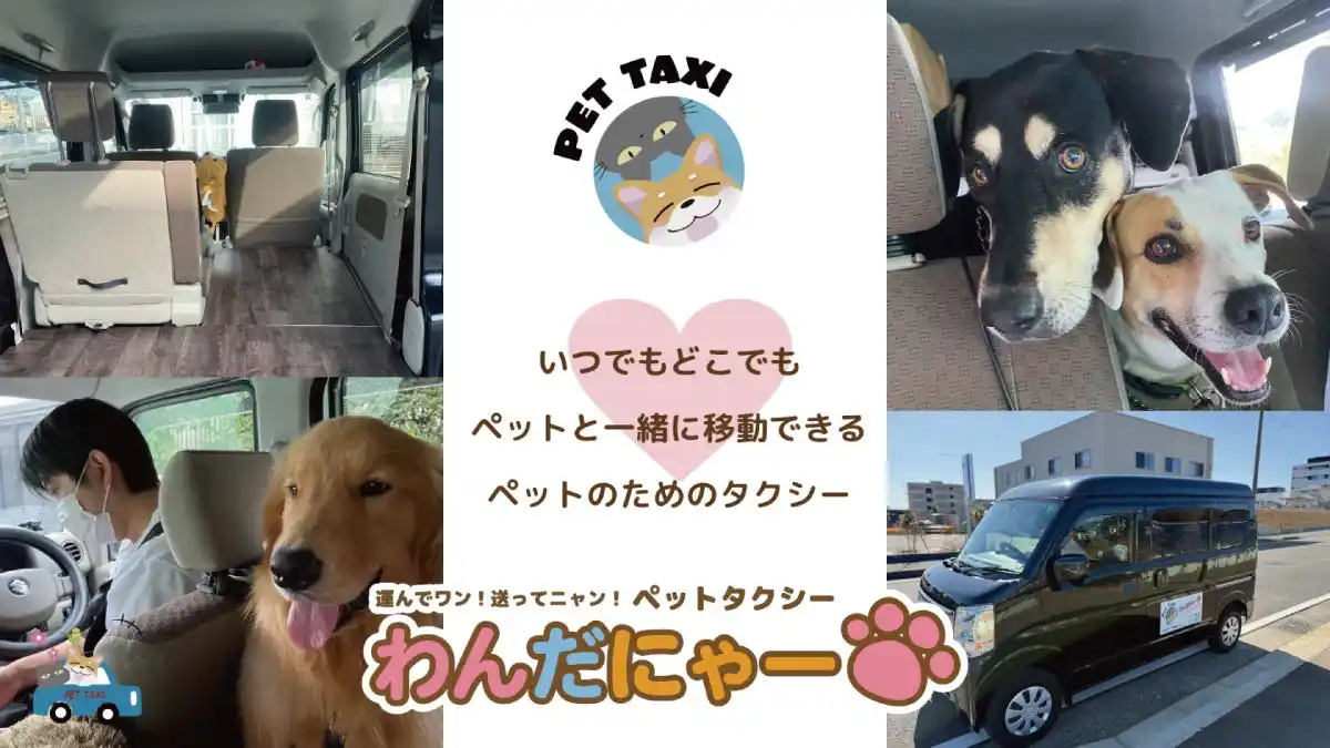 【わんだにゃー株式会社】 ＼社会課題をビジネスで解決／わんだにゃー株式会社、ペットタクシーFC加盟店募集開始！― ゼブラ企業が提案する『働きすぎない』未来の働き方わんだにゃーだからできる【セミオート型ワークスタイル】