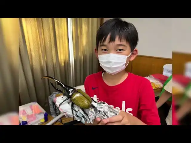 【株式会社リソー教育】 【夏休みの過ごし方】昆虫の専門家と過ごす３日間！夏の昆虫博士キャンプ