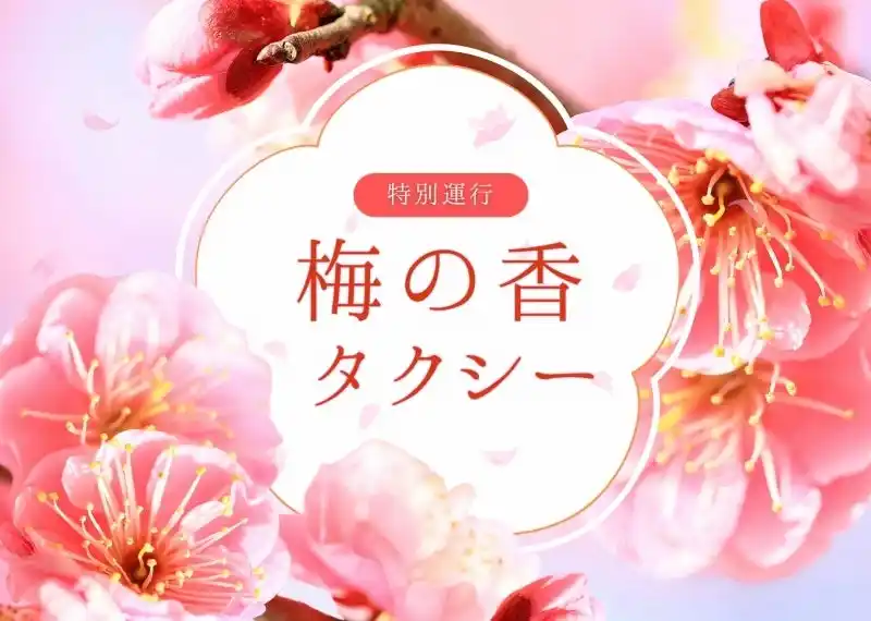 日本交通・東京観光タクシーで、ひと足早い“お花見”を　「梅の香タクシー」期間限定運行