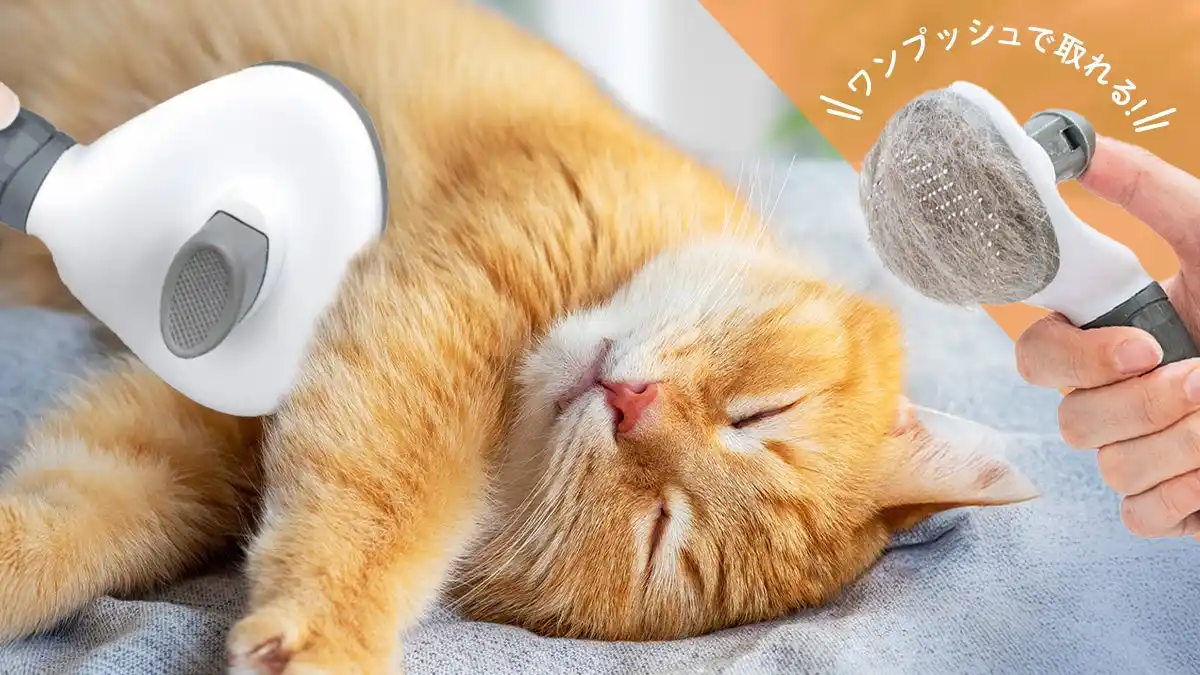 【Fun Standard株式会社】 【新発売】ワンプッシュ機能で手間なくお手入れ！犬猫用「ペットブラシ」が予約販売開始!幅広ヘッド＆軽量設計で毎日のブラッシングの負担を軽減。期間限定で楽天"ポイント20倍"キャンペーンを実施いたします。