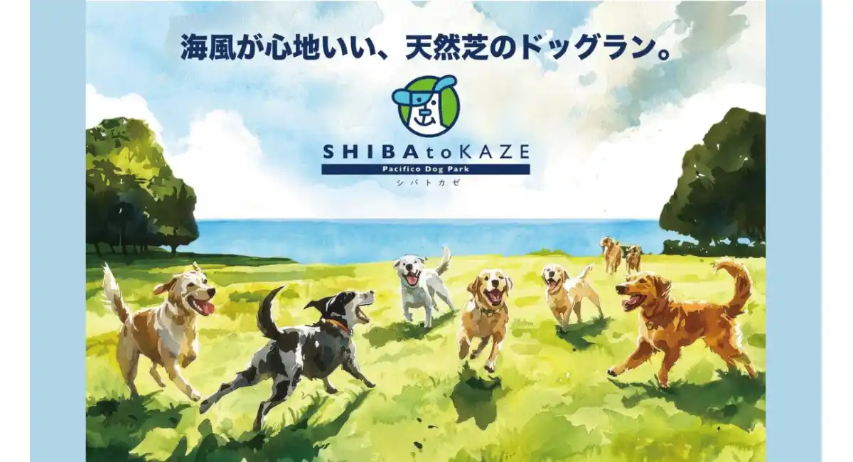 海風が心地いい、天然芝のドッグラン「SHIBA to KAZE Pacifico Dog Park」3/20(金祝)-22(日)限定でオープン