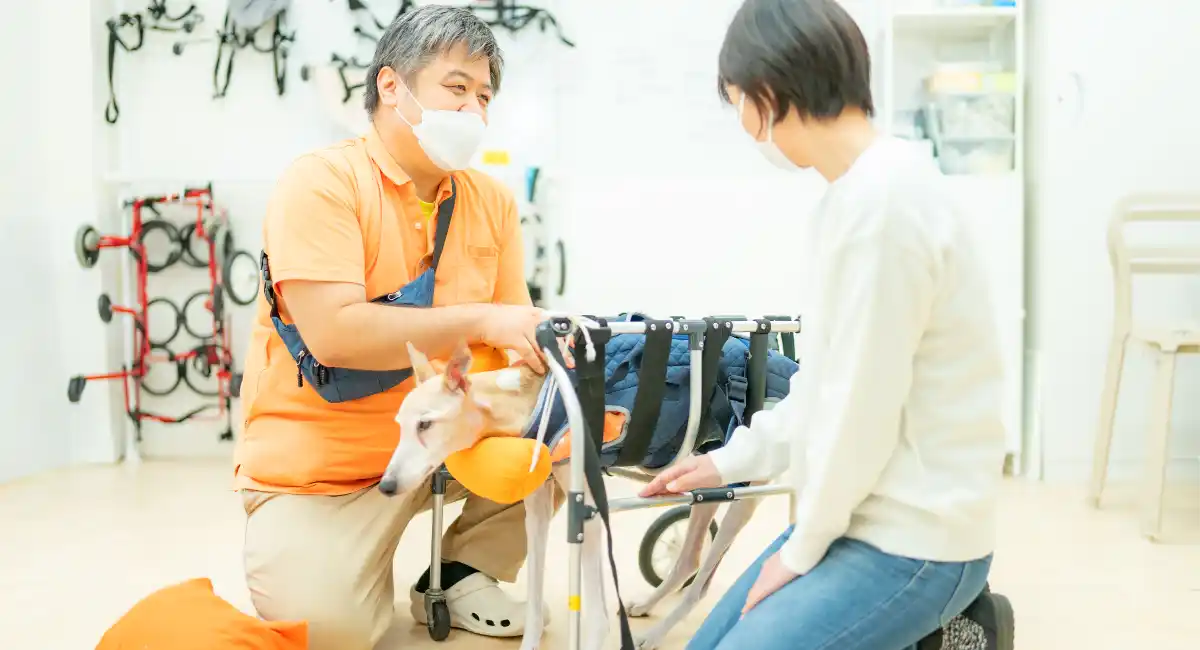 老犬ホーム利用者の98.1%が“安心できる”と回答──オレンジライフ湘南、顧客満足度調査の結果を公開