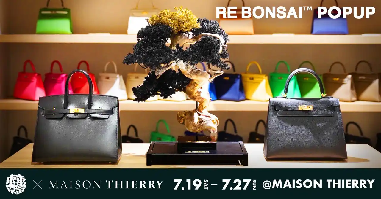 エルメス専門店「MAISON THIERRY」、⾊彩美と職人技をテーマに盆栽アート「RE BONSAI(TM)」のワークショップを開催