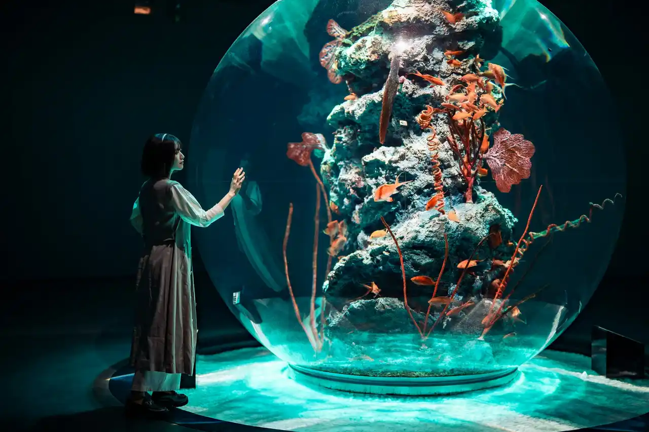 【神戸の水族館 アトア×神戸リゾートクルーズ boh boh KOBE】クルージングと水族館を両方楽しめる！