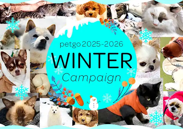 【ペットゴー】 「ペットゴー（petgo.jp）」2025-2026 Winter Campaign開催