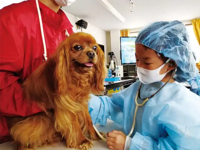【株式会社リソー教育グループ】 【こどもの休日の過ごし方】現役の獣医に学ぶ職業体験！「獣医さん体験スクール」