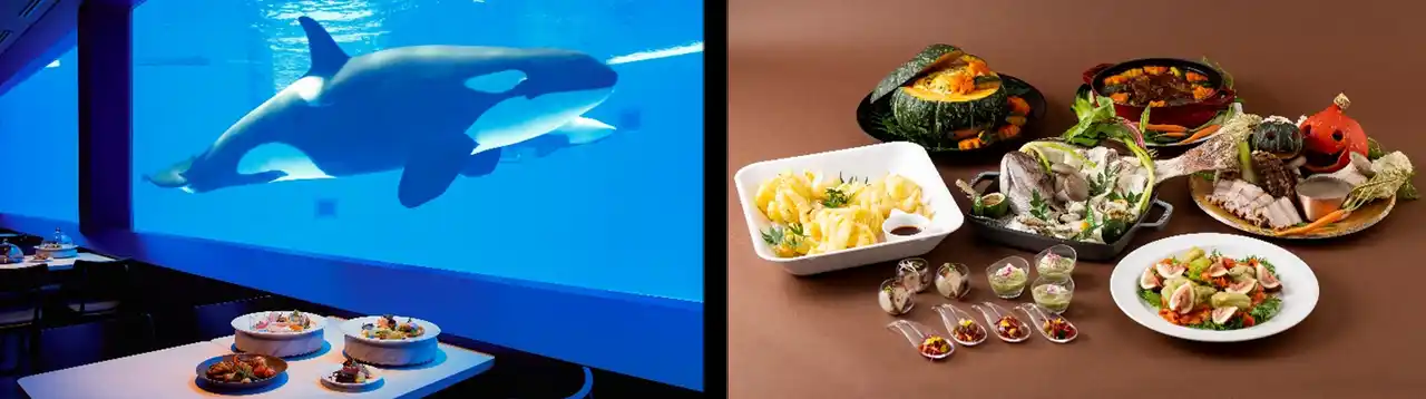 【グランビスタ ホテル＆リゾート】 【神戸須磨シーワールド】シャチの見えるレストランなど水族館で秋の味覚を堪能　9月1日（月）より新メニューが登場