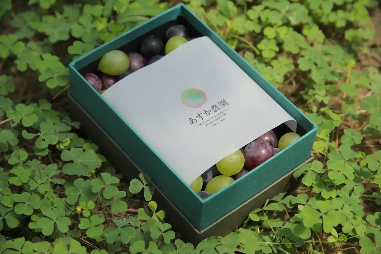 63年の歴史を持つぶどう農家が育てた「奇跡のぶどう」　オンラインショップがオープン