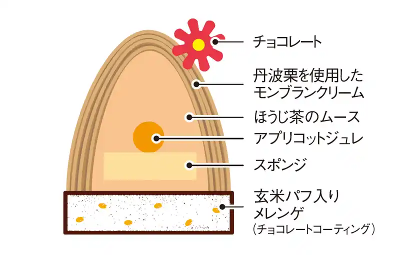 ほうじ茶／断面図