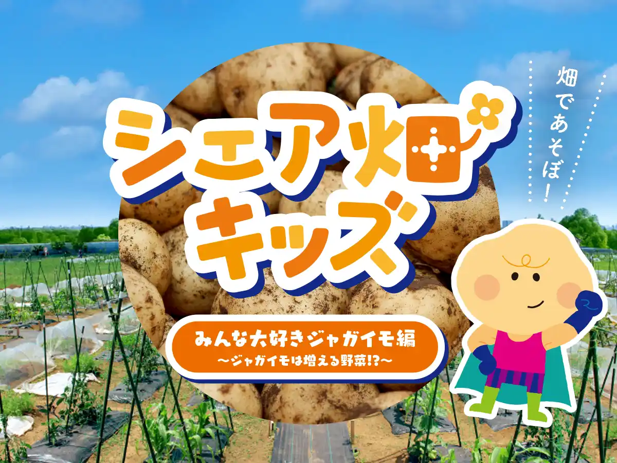 【株式会社アグリメディア】 お子さまの「生きる力」を育む3か月間！野菜を育てて、食べて、学ぶ『シェア畑キッズ』 秋の短期プログラム募集開始