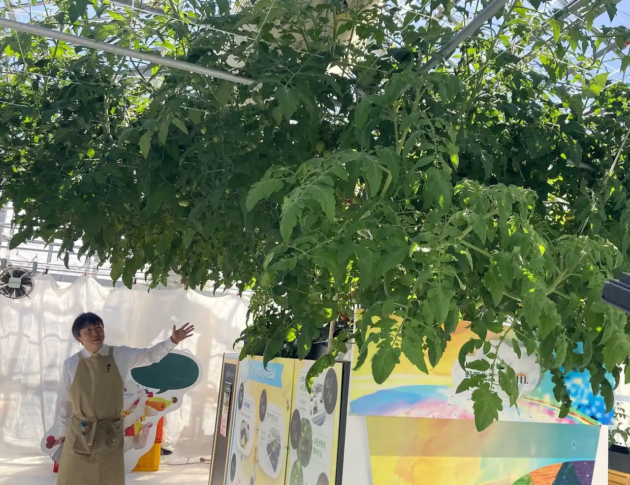 【カゴメ株式会社】 「カゴメ野菜生活ファーム富士見」 3月7日（土）今季の営業をスタート！　大きく育ったトマトの樹とリニューアルした施設を公開