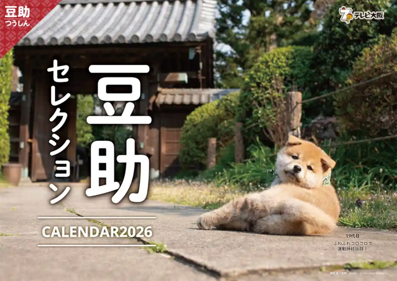 【テレビ大阪株式会社】 柴犬「豆助セレクションカレンダー2026」9月27日（土）発売を決定！今回は日本の風景＋表情の豊かさがテーマ。豆助のかわいい姿を満載でお届け！