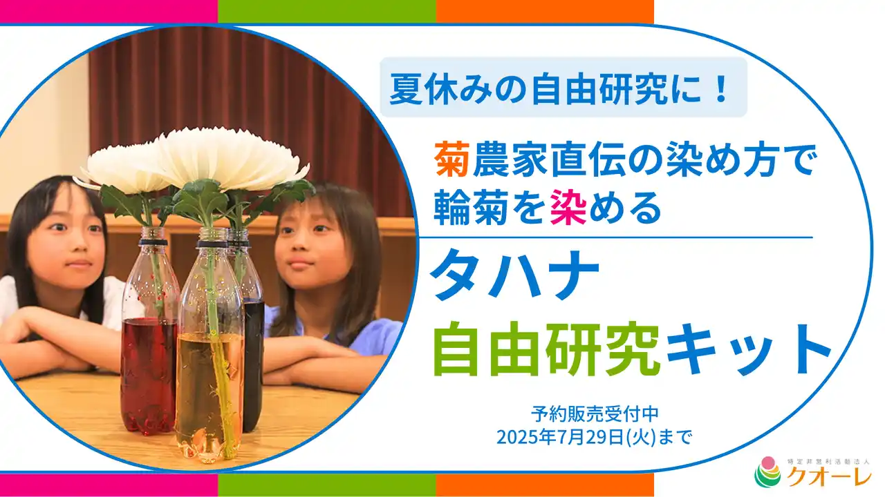 【NPO法人クオーレ】 “夏休みの自由研究に！” 菊農家直伝の染め方で輪菊を染める「タハナ自由研究キット」
