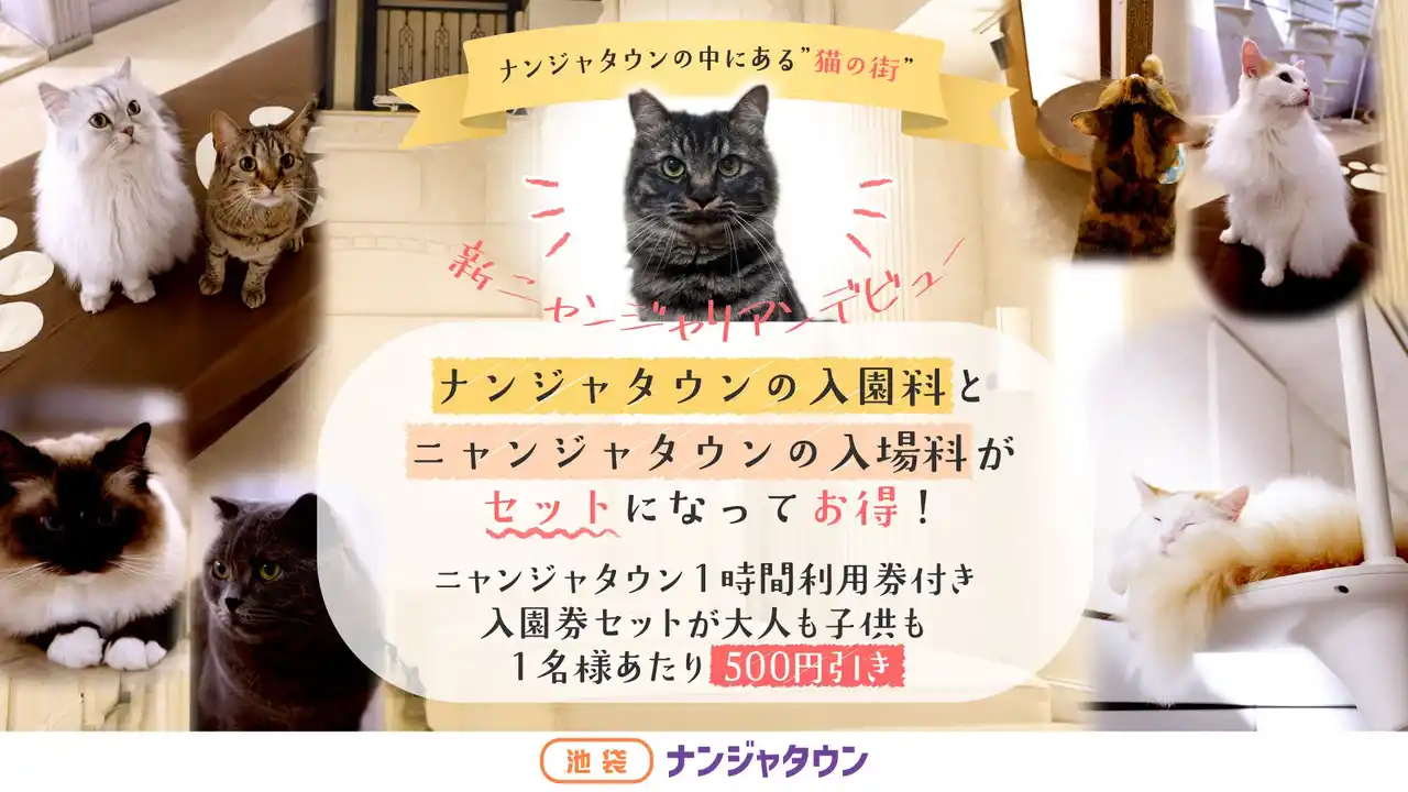 【株式会社バンダイナムコエクスペリエンス】 ナンジャタウンにある猫の街に新しい仲間が登場！ 「新猫ちゃんデビューキャンペーン！」 デビューを記念した割引チケットを2025年7月19日(土)から販売！